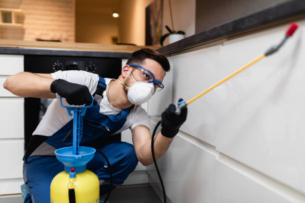Best Local Pest Control Services  in Indianola, WA