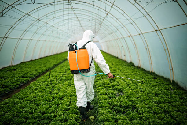 Best Pest Control Treatment  in Indianola, WA