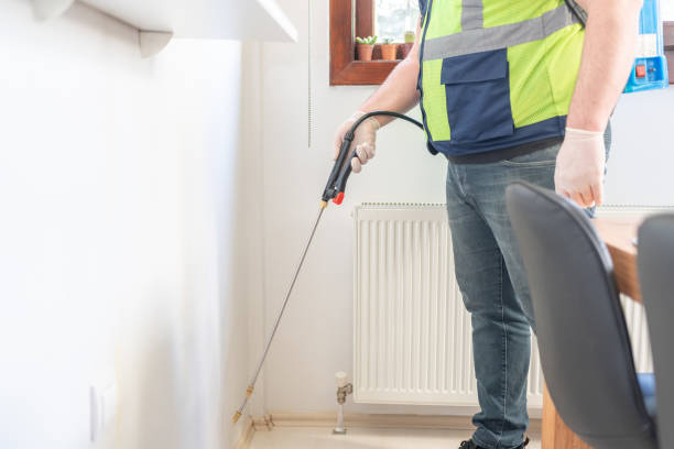 Best Ant Control Services  in Indianola, WA