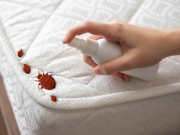 Best Affordable Pest Control Services  in Indianola, WA